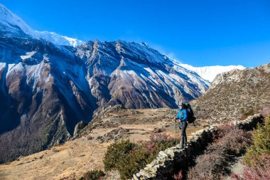 Man standing at a stony wall while trekking Annapurna Circus, Himalayas, Nepal, with the view on Annapurna Chain. Dry and desolated landscape. High, snow capped mountain peaks. Happiness and adventure