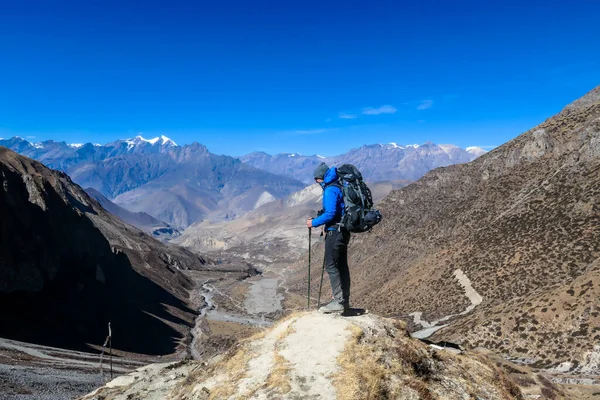 Man hiking through dry path in Himalayan valley, located in Mustang region, Annapurna Circuit Trek in Nepal. He is having a short break, supporting himself on hiking sticks. Harsh landscape. Adventure