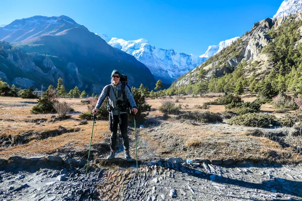 A man hiking in Manang valley from Humde Nepal. High Himalayan ranges around. There is dense forest on the side of the pathway. Snow capped peaks of Annapurna Chain in the back. Freedom and adventure