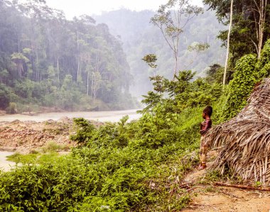 The Taman Negara Pahang in Malaysia is one of the world's oldest deciduous rainforest. This native boy went out of his house after a heavy rainfall. The boy is observing the river