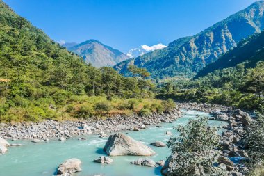 View on River and Mountains from Bhulbhule, Annapurna Circuit Trek, Nepal. Turquoise color of the river, big stones popping out of the river. Green forest around. Snowy mountains' peaks in the back