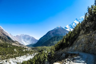 Way in Upper Pisang Valley, Annapurna Circuit Trek, Nepal. Clear sky above the peak. Picturesque landscape,  small trees on the sides of the gorge. White Himalayas mountain peaks in the back