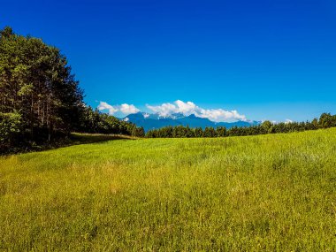 A beautiful lush green Alpine meadow, surrounded by high Alps in Kathreinkogel, Schiefling am See. Thick forest to the left and in the back. Fresh grass in the center. Blue sky with clouds in the back