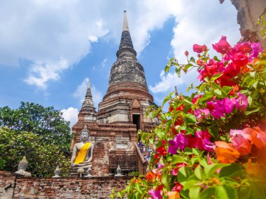 Tayland, Ayutthaya 'da çarpıcı bir tapınak. Ön planda renkli çiçekler var ve arka planda büyük bir Buda heykeli olan tapınak var. Kırmızı tuğladan yapılmış bir tapınak. kırmızı, mavi ve yeşilin karşıtlığı.