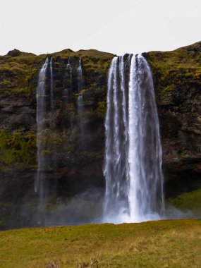 Seljalandsfoss - waterfall situated on the South Coast of Iceland, next to the Ring Road, with a drop of 60 meters. The slopes of the mountains overgrown with moss. Foggy sky. Mysterious atmosphere.