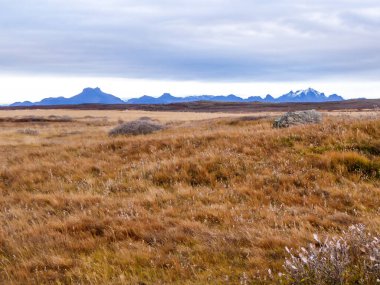 A flatland, covered with golden grass. Dried grass due to the winter season. In the back tall mountains are visible. Great overcast.