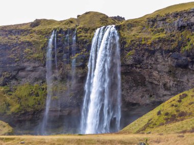 Seljalandsfoss - waterfall situated on the South Coast of Iceland, next to the Ring Road, with a drop of 60 meters. The slopes of the mountains overgrown with moss. Foggy sky. Mysterious atmosphere.