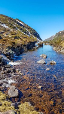 A wast river flowing in the highlands of Norway. River's banks are overgrown with various plants. Crystal clear water. Stony bottom of the river. Clear, blue sky.