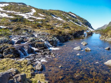 A wast river flowing in the highlands of Norway. River's banks are overgrown with various plants. Crystal clear water. Stony bottom of the river. Clear, blue sky.