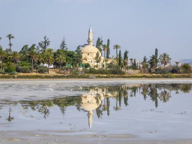 Hala Sultan Tekke seen from a distance. The mosque is surrounded by lush setting - palm trees and smaller bushes. Clear reflection of the mosque in the calm surface of a Larnaca Salt Lake.