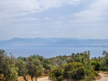 A sea seen from a distance. The view is disturbed by the forest in the front. Behind there are some mountains emerging from the water. Foggy and cloudy weather.