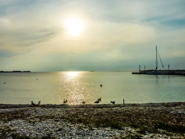 Przybrzeżny Jak Chorwacja Schwytany Podczas Złotej Godziny Plaża Jest Kamienista — Zdjęcie stockowe