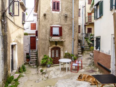 A little square hidden in between tall buildings. There are few chairs and tables on the square. A dog is sleeping in a shadow. Beautifully decorated window shutters. Hidden gem of Croatia.