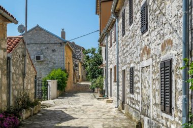 A little cobbles street in a Mediterranean country. The houses on both sides are made of stone. Beautiful window shutters. There are violet flowers growing next to a house. Clear and sunny day.