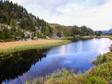 View on an Alpine lake, with tall trees growing on the sides. The lake has dark blue color. Calm surface of the lake lets the sky and the surrounding trees reflect in its surface. Boulders on the side
