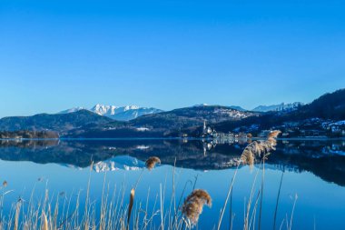 A view on a city on the shore of a lake with Alps in the back. View is disturbed by grass. The calm surface of the lake reflects the mountains, sunbeams and cloud. Church with bell tower in the middle