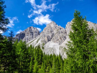 A distance view on massive, sharp stony mountain range of Lienz Dolomites, Austria. The mountains are partially overgrown with green bushes. Dangerous mountain climbing. Tall trees growing in front
