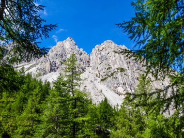 A distance view on massive, sharp stony mountain range of Lienz Dolomites, Austria. The mountains are partially overgrown with green bushes. Dangerous mountain climbing. Tall trees growing in front