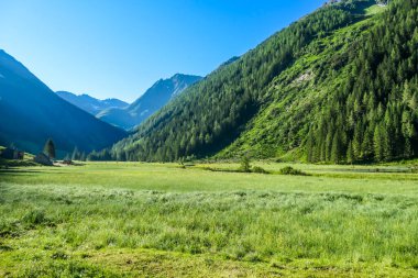A panoramic view on Schladming Alps, partially still covered with snow. Spring slowly reaching the tallest parts of the mountains. Sharp peaks, slopes overgrown with lush green plants.