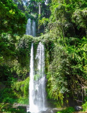 A stunning two levelled waterfall in Lombok, Indonesia. Tiu Kelep Waterfall is surrounded by lush green plants from each side. Long and powerful waterfall. Beauty of the nature.