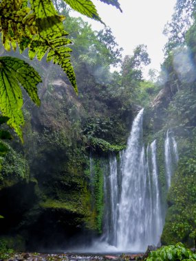 Sendang Gile waterfall captured just two days after the earthquake in August 2018, Lombok, Indonesia. The waterfall is surrounded by lush green plants from each side. Long and powerful waterfall.