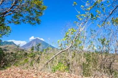 Distant view on Volcano Inierie, Bajawa, Indonesia. The pyramid like volcano towers above the landline. The bushes disturb the view on the stratovolcano. The upper slopes are bare without vegetation