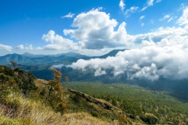 A view on volcanic island from the side of volcano Inierie in Bajawa, Flores, Indonesia. The slopes are overgrown with small plants. Big overcast below. Many volcanos in the back. Lots of greenery