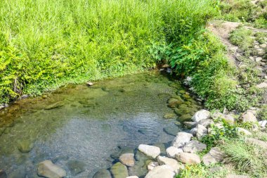 A hot spring hiding between the rice fields under the Kelimutu Volcano, Moni, Flores, Indonesia. The pond is small with many stones around it. Green rice grass growing around it.
