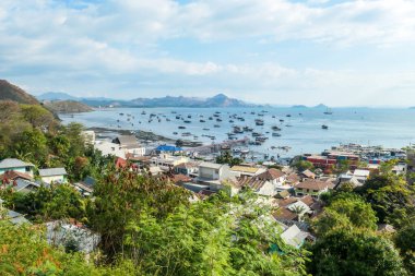 A view on a harbour from top of a hill in Labuan Bajo, Flores, Indonesia.  Many boats are anchored to its shore. There are few islands in the back. Small city in front. Happiness and beauty
