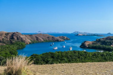 A view from top of the Komodo Island in Indonesia. Discovering new places. There is a lot of boats anchored to the shores of the island's bay. Other islands in the back. Volcanic island.