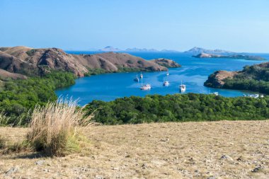 A view from top of the Komodo Island in Indonesia. Discovering new places. There is a lot of boats anchored to the shores of the island's bay. Other islands in the back. Volcanic island.