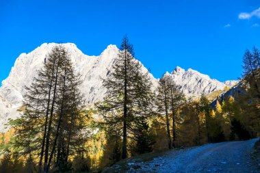 A huge mountain wall towering above the forest in Lienz Dolomites, Austria. The mountain slopes are barren, sharp and dangerous. High mountain climbing. Freedom and solitude.