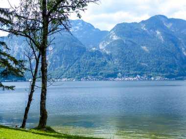 Distant view on a small village located on the opposite side of the lake in Hallstatt, Austria. Alpine village. Idyllic landscape. Coexistence of human and nature. Meadow on the lake side.