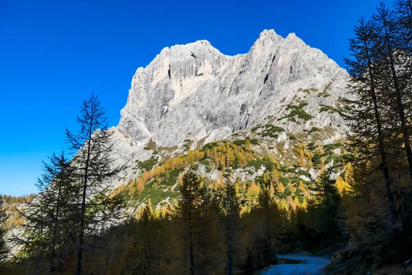 A huge mountain wall towering above the forest in Lienz Dolomites, Austria. The mountain slopes are barren, sharp and dangerous. High mountain climbing. Freedom and solitude.