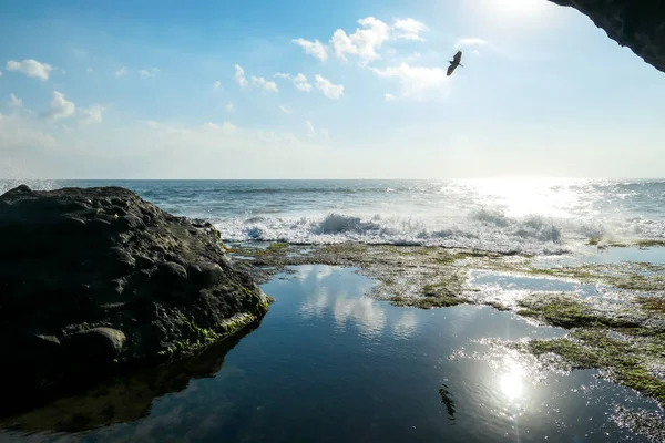 Cliffs in the nearby of Tanah Lot Temple, Bali, Indonesia. The waves are splashing on the cliffs and smaller rocks. Water stays on the flat surfaces. Power of the nature. Bird flying around