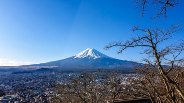 A distant view on Mt Fuji in Japan on a clear, wintery day. The top parts of the volcano are covered with a layer of snow. Holly mountain of Japan. A few tree branches in the frame.