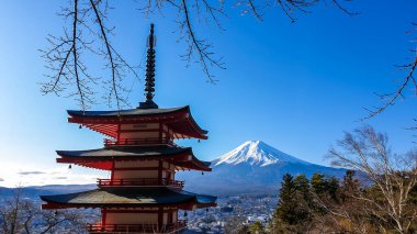 View on Chureito Pagoda and mountain of the mountains Mt Fuji, Japan, captured on a clear, sunny day in winter. Top of the volcano covered with snow. Trees aren't blossoming yet. Postcard from Japan.