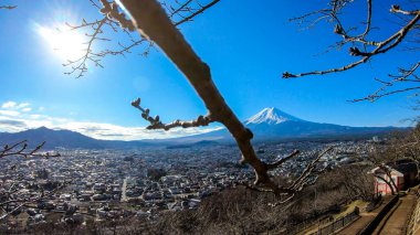 A few tree branches with flower buds on disturbing a clear, distant view on Mt Fuji in Japan on a clear, wintery day. The top parts of the volcano are covered with a layer of snow. Holly mountain