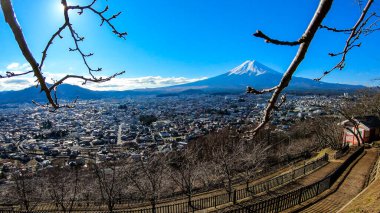 A few tree branches with flower buds on disturbing a clear, distant view on Mt Fuji in Japan on a clear, wintery day. The top parts of the volcano are covered with a layer of snow. Holly mountain