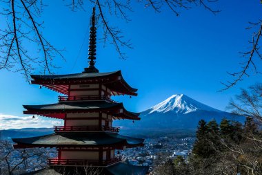 View on Chureito Pagoda and mountain of the mountains Mt Fuji, Japan, captured on a clear, sunny day in winter. Top of the volcano covered with snow. Trees aren't blossoming yet. Postcard from Japan.