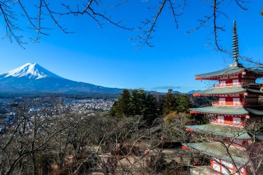 View on Chureito Pagoda and mountain of the mountains Mt Fuji, Japan, captured on a clear, sunny day in winter. Top of the volcano covered with snow. Trees aren't blossoming yet. Postcard from Japan.