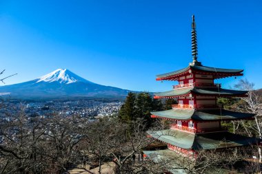 View on Chureito Pagoda and mountain of the mountains Mt Fuji, Japan, captured on a clear, sunny day in winter. Top of the volcano covered with snow. Trees aren't blossoming yet. Postcard from Japan.