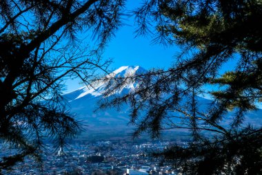 A distant view on Mt Fuji in Japan through the pine trees' branches, captured on a clear, wintery day. The top parts of the volcano are covered with a layer of snow. Holly mountain. Mystery and beauty