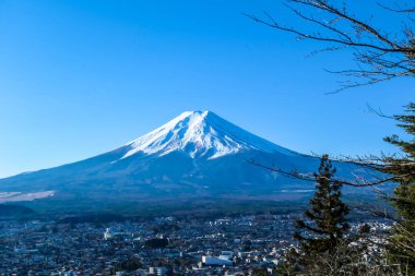 A distant view on Mt Fuji in Japan on a clear, wintery day. The top parts of the volcano are covered with a layer of snow. Holly mountain of Japan. A few tree branches in the frame.