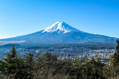 A distant view on Mt Fuji in Japan on a clear, wintery day. The top parts of the volcano are covered with a layer of snow. Holly mountain of Japan. A few tree branches in the frame.