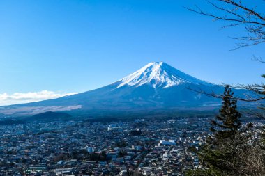 A distant view on Mt Fuji in Japan on a clear, wintery day. The top parts of the volcano are covered with a layer of snow. Holly mountain of Japan. A few tree branches in the frame.