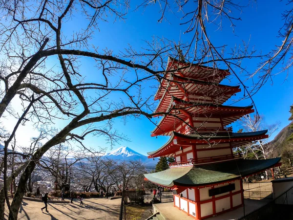 在日本富士山的楚里托宝塔和高山上 冬季阳光明媚的一天捕捉到的风景 火山顶上被雪覆盖着 树还没有开花呢 来自日本的明信片 — 图库照片