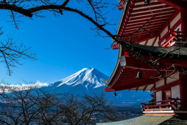 View on Chureito Pagoda and mountain of the mountains Mt Fuji, Japan captured on a clear, sunny day in winter. Top of the volcano covered with snow. Trees aren't blossoming yet. Postcard from Japan.