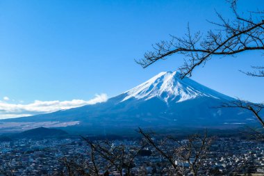 A distant view on Mt Fuji in Japan on a clear, wintery day. The top parts of the volcano are covered with a layer of snow. Holly mountain of Japan. A few tree branches in the frame.