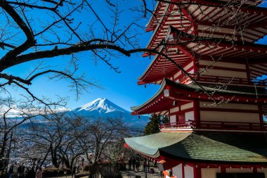 View on Chureito Pagoda and mountain of the mountains Mt Fuji, Japan captured on a clear, sunny day in winter. Top of the volcano covered with snow. Trees aren't blossoming yet. Postcard from Japan.